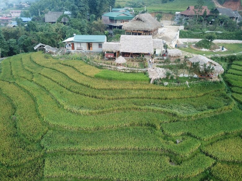 Hotel Golden Rice Garden Sapa