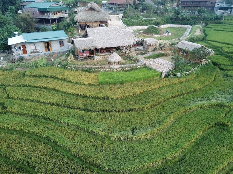 Hotel Golden Rice Garden Sapa