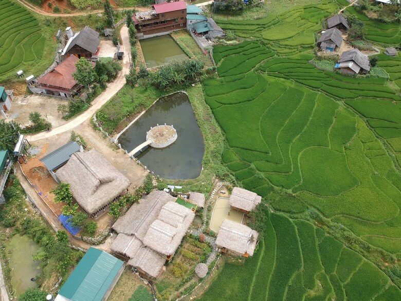 Hotel Golden Rice Garden Sapa