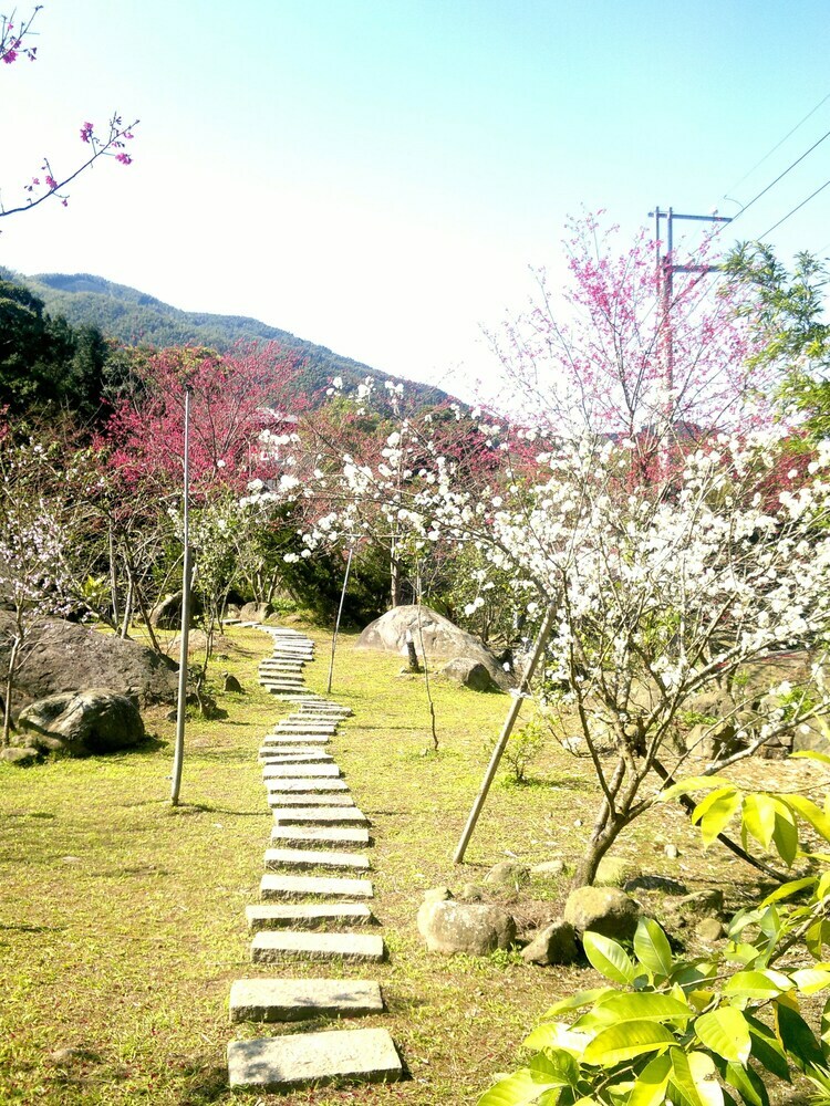 Valley Bed And Breakfast