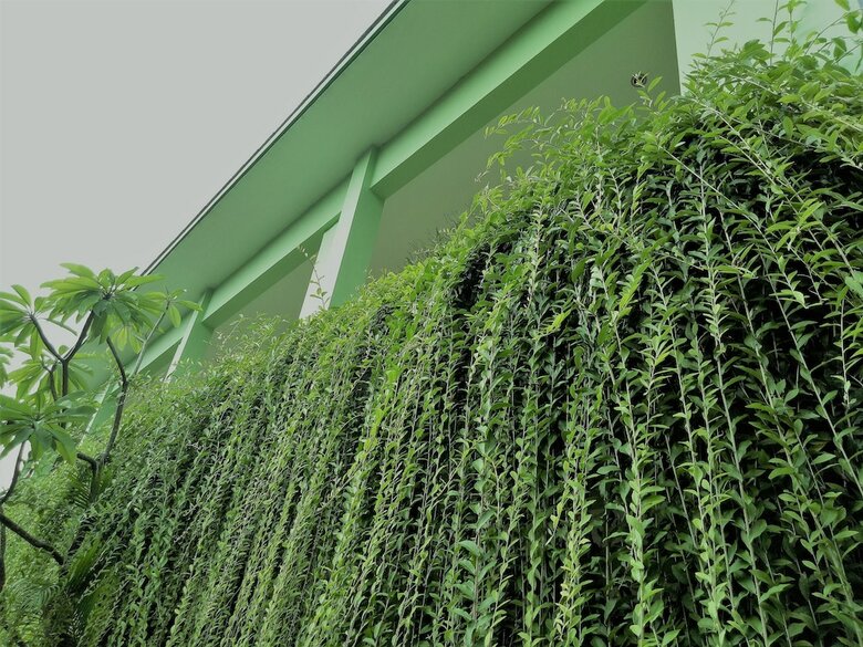 Bed & Breakfast Oyo 2456 Purnama House Kuta