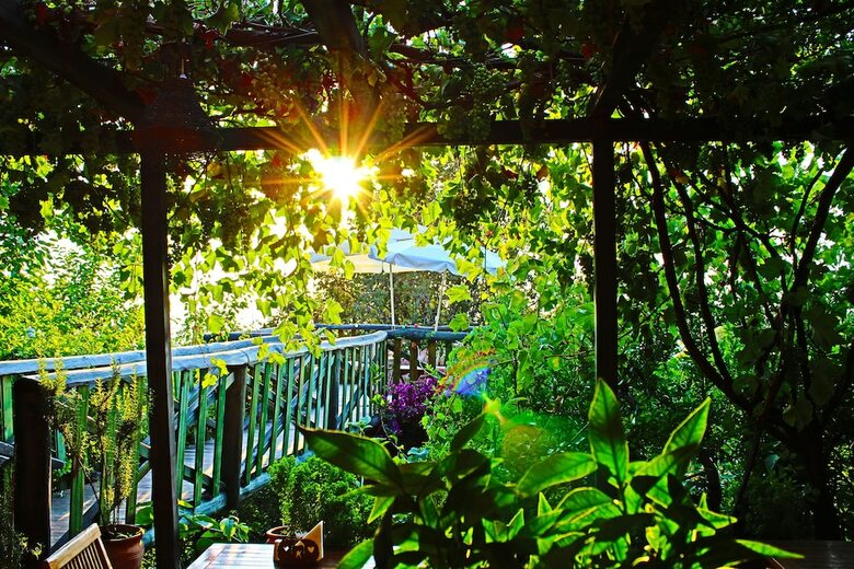 Lazy Lizard Boutique-hotel