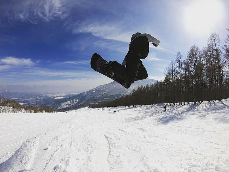 Hotel Mountain Hut Myoko