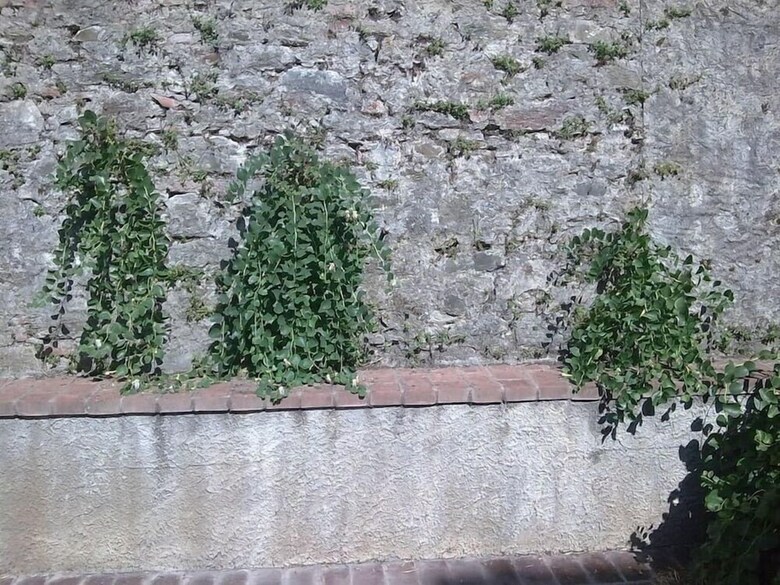 Apartamento Palazzo Ferretti