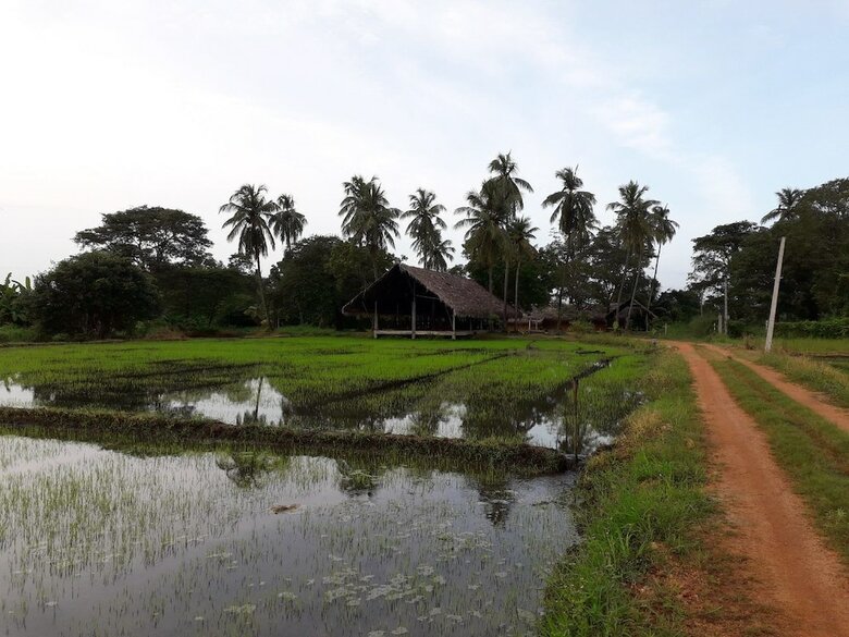Hotel Kamatha Resort