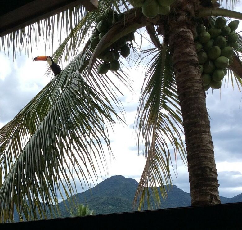 Hotel Bela Ilha Guest House