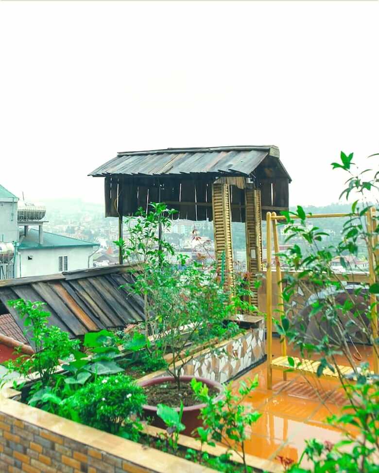 Hostal The Link Homestay - Hostel