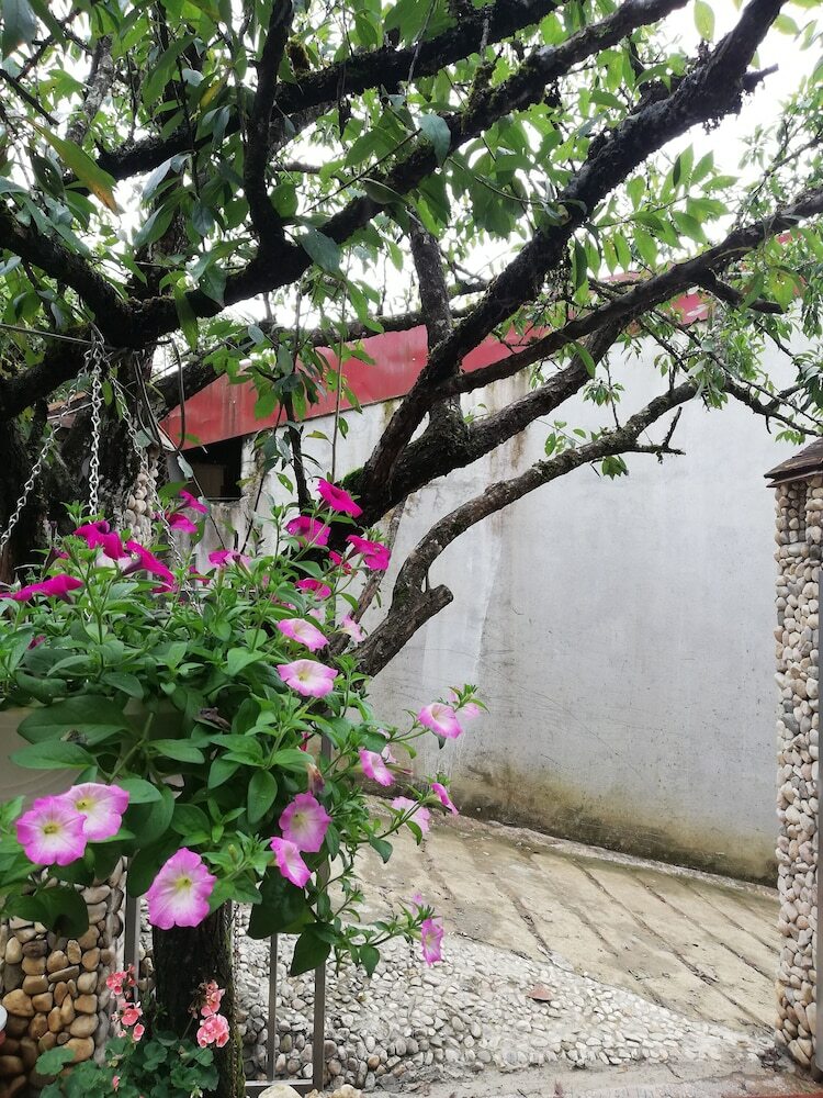 Hostal The Link Homestay - Hostel