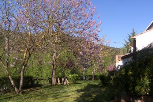 Apartamento Bat�n De Las Monjas