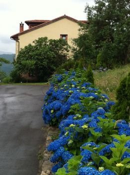 Hostal C.a. Heredad De La Cueste
