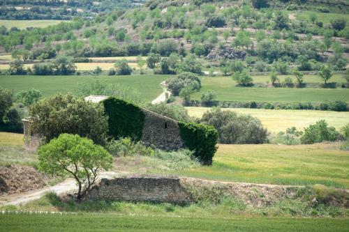 Hotel Hostal Palouet De Segarra