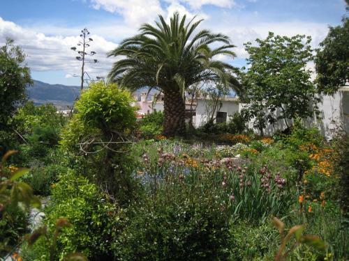 Hostal Vi�a Y Rosales