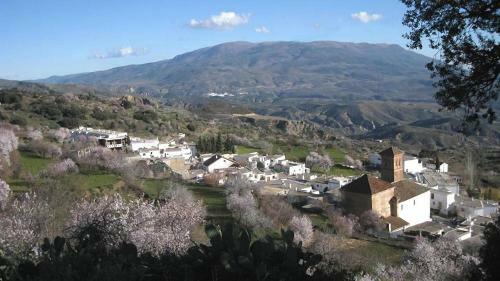 Hostal Vi�a Y Rosales
