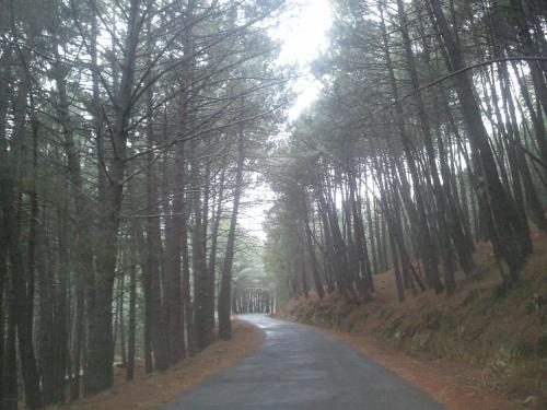Hostal-restaurante Fog�n de Gredos