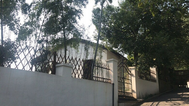 Villa Green Sleeves