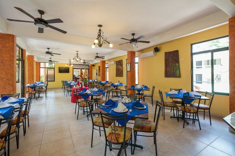 Hotel Maya Tulipanes Express