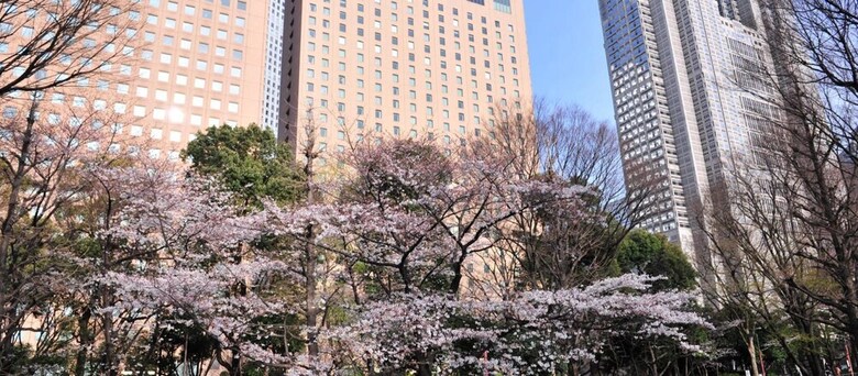 Apartamentos Tokyo Urban Flat Hotel 101