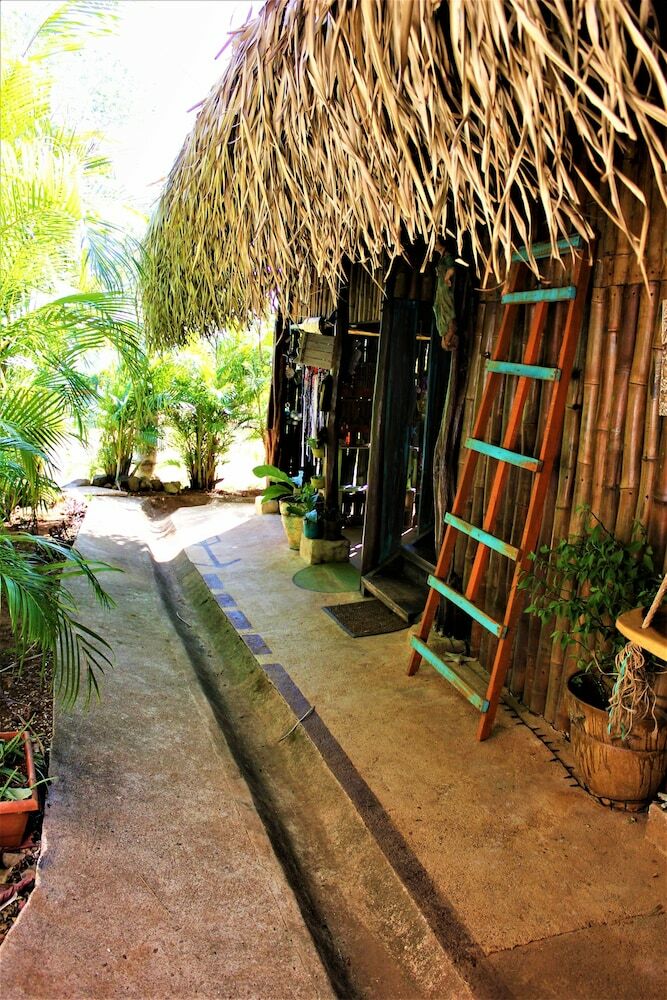 Hostal Barba Negra Lodge