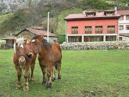 Apartamentos Rurales Blanca