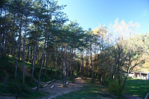 Albergue El Xali�