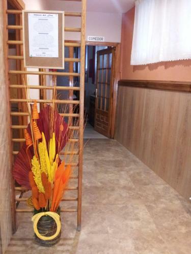 Hostal Alcanadre