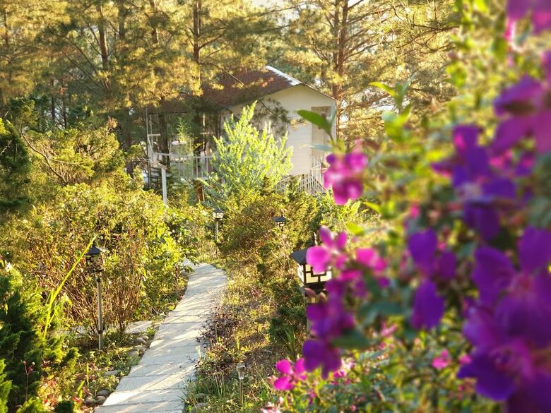 Apartamento Pine Hill Homes Dalat