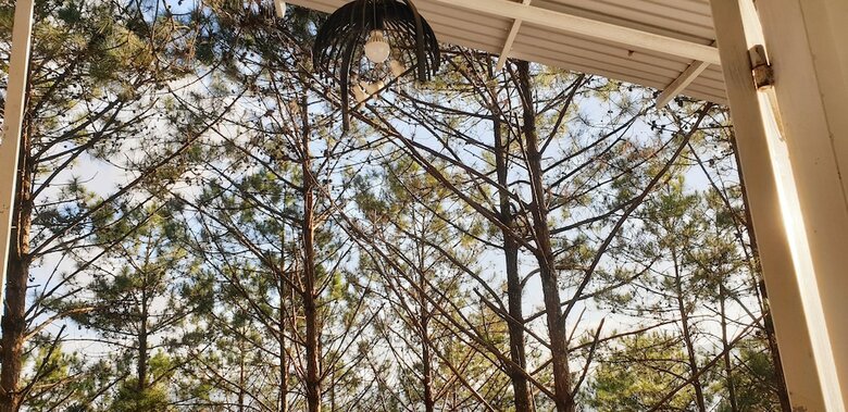 Apartamento Pine Hill Homes Dalat