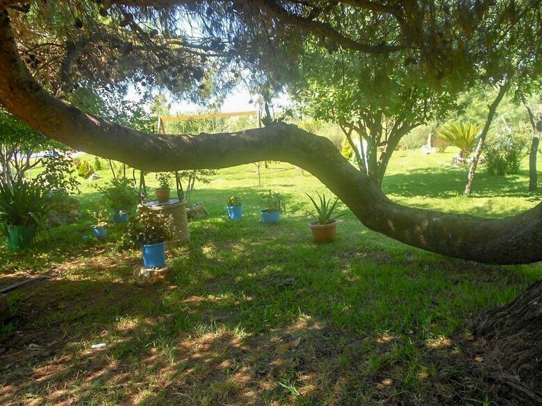 Apartamentos Villa Swan