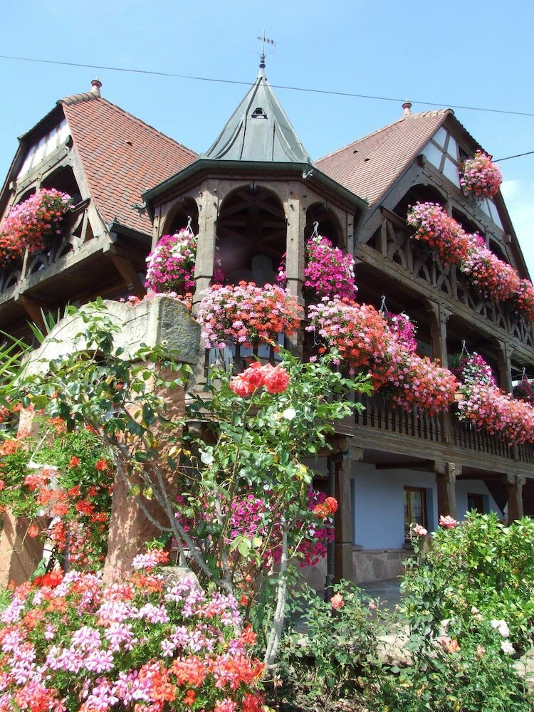Hotel Chambres D'h�tes Familiales Au Vigneron