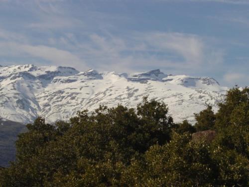 Apartamento Cortijo Prado Toro