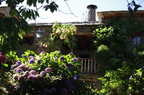 Apartamento Cortijo Prado Toro