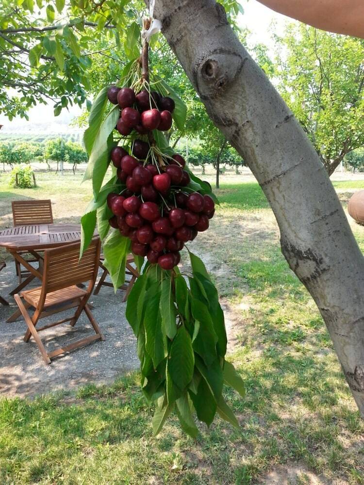 Sonora Desert Winery And Countryside B&B