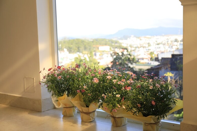 Tea Leaf Hotel 2