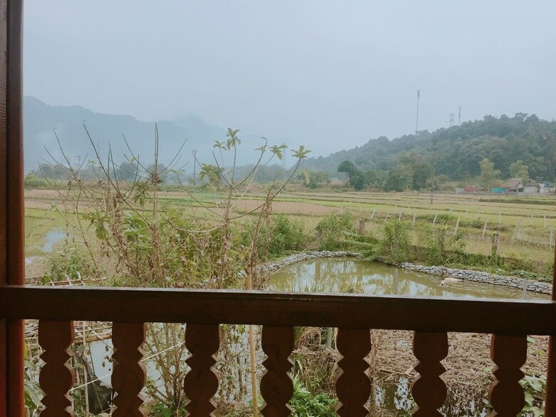 Hostal Thao Ly Homestay - Hostel