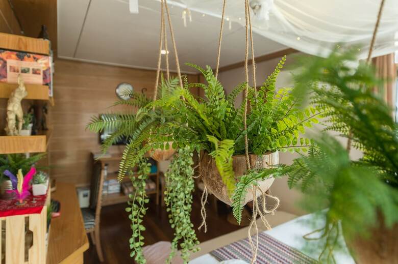 Hotel Sud Soi Guest House