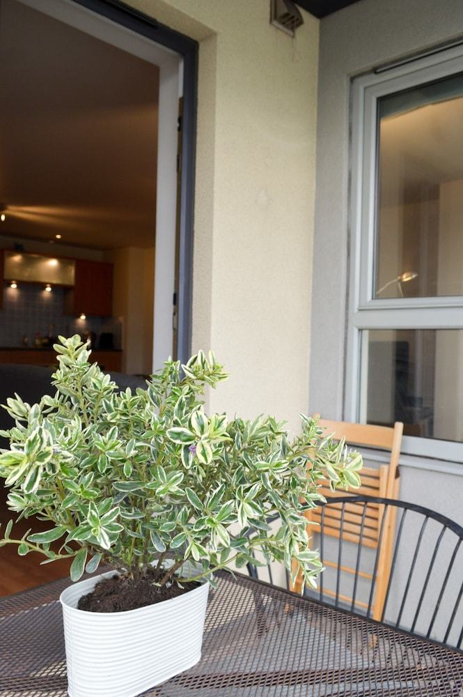 Modern 1 Bedroom Apartment With Balcony