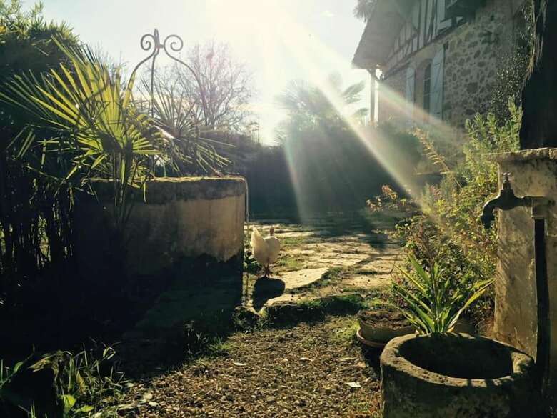 Bed & Breakfast Domaine de Hongrie