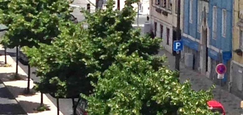 Apartamentos Casa Da Avenida Lisboa