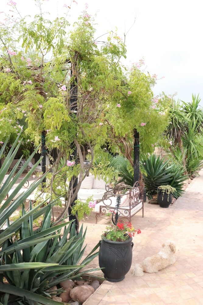 Hotel Fawakay Villas