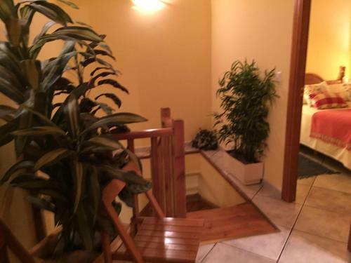 Apartamento La Fusteria