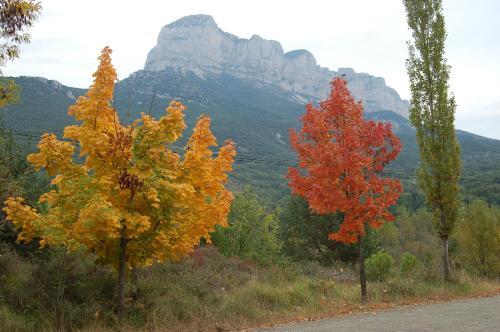 Apartamentos Borda Falceto