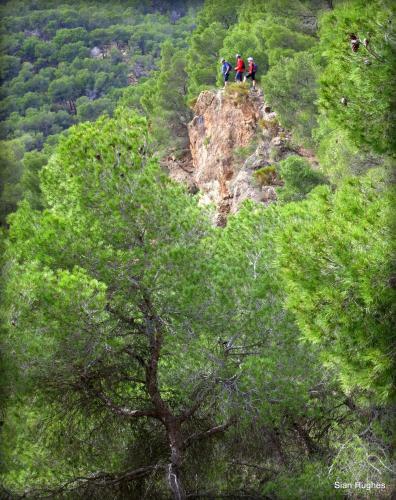 Camping Sierra Espu�a