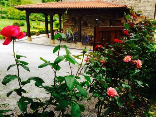 Hostal Posada El Remanso De Trivieco