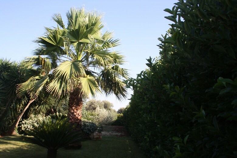 Bed&breakfast Villa Mamma Grazia