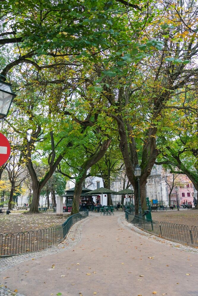 Hostal The Mulberry Tree Lisbon Hostel