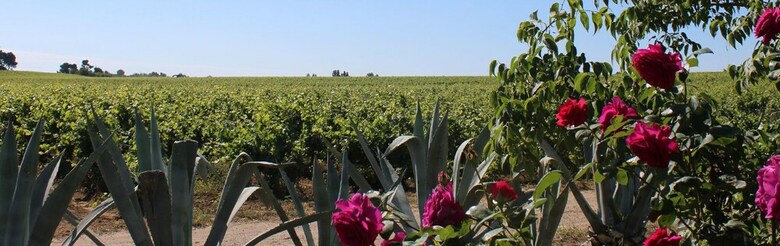 Le Clos Des Garennes