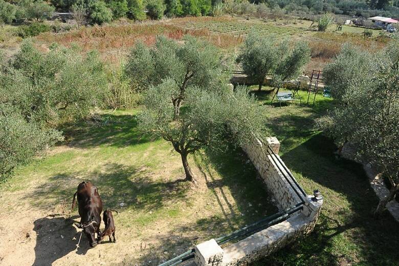Apartamentos Ammos Villas