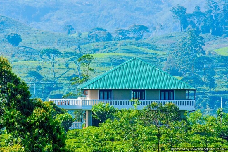 Hotel Tea Queens Bungalow