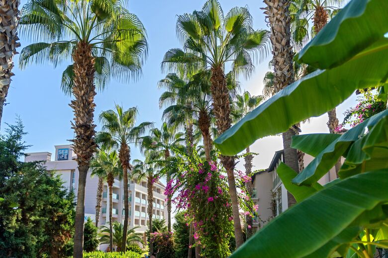 Hotel Aska Buket