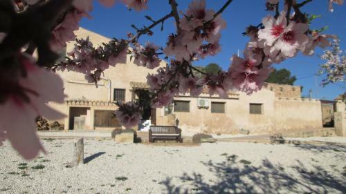 Hostal The Olive Tree